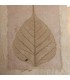 Golden Peepal Greeting Card