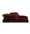 Sculpture Of Sleeping Buddha