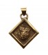 Brass Tiger Pendent